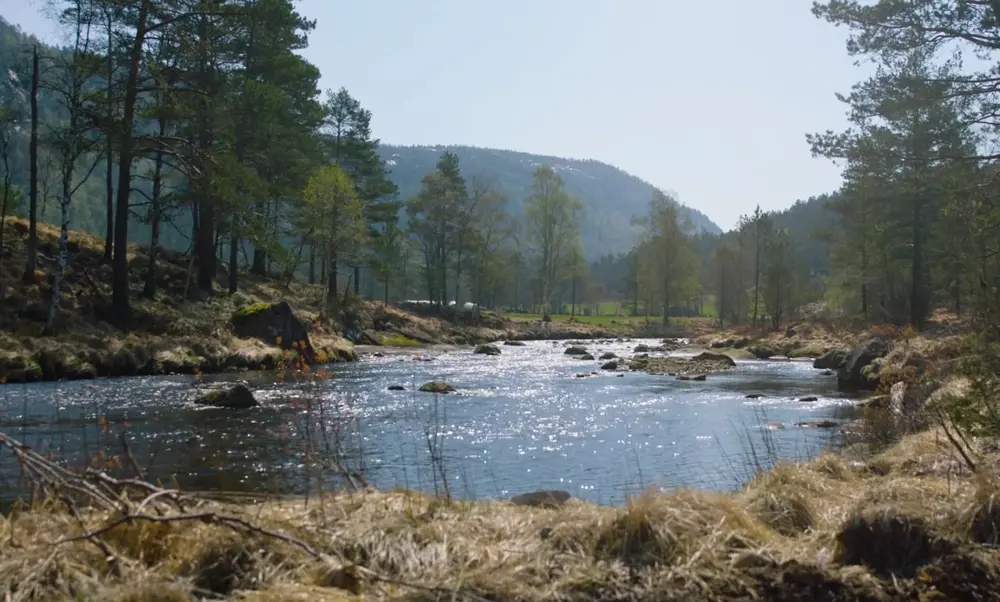 bilde Nettsidene tar sommeferie