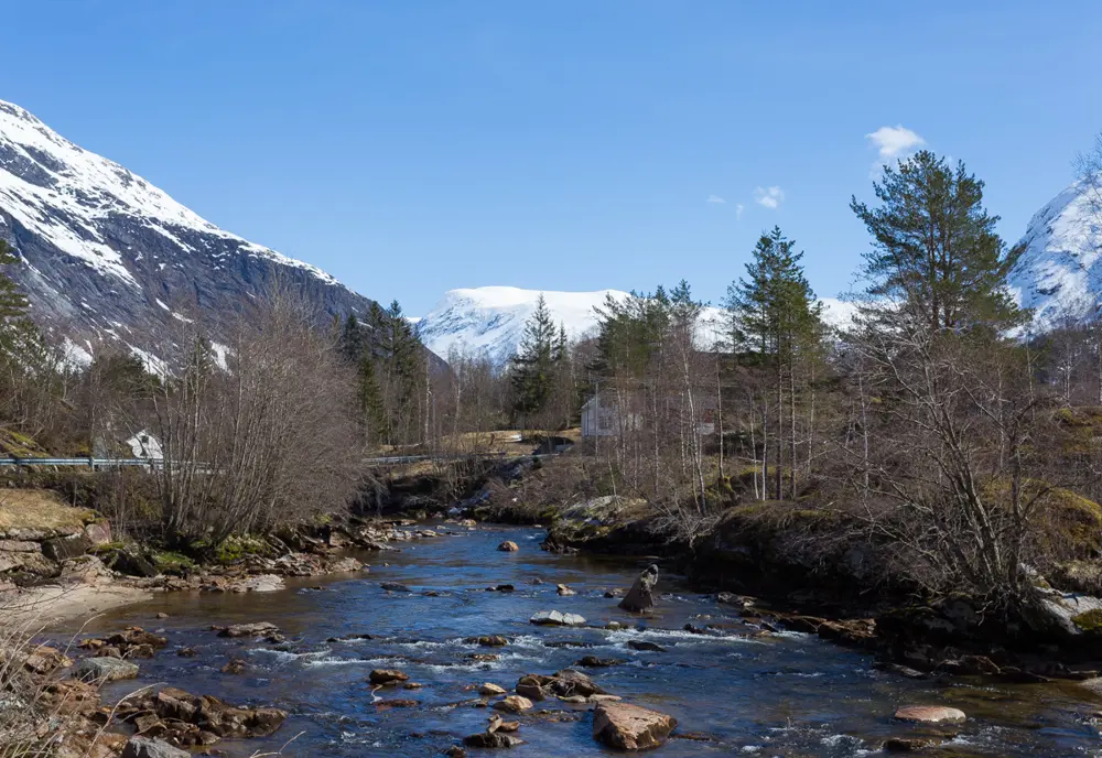 bilde Grunnrenteskatt: Les interaktiv høringsuttalelse her