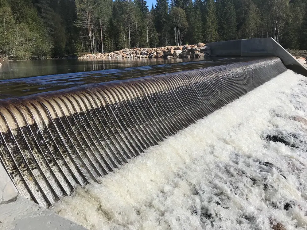 bilde Fornøyd med populære coanda