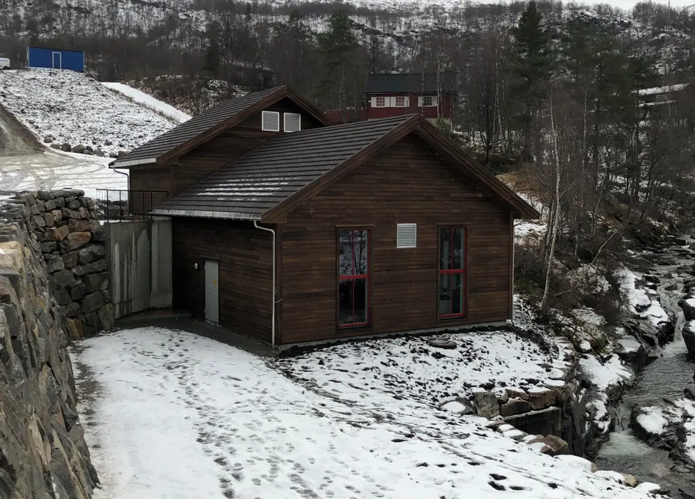 bilde Kvinnheringer selger fem verk