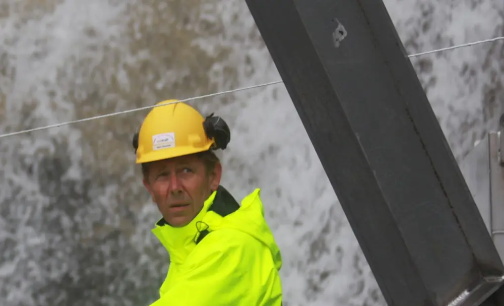 bilde Rein er tilbake