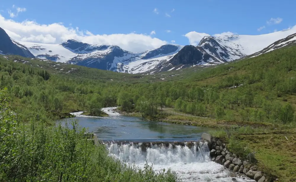 bilde Finner overtar Befring Kraft
